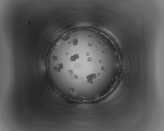 X0000100760929200806261601