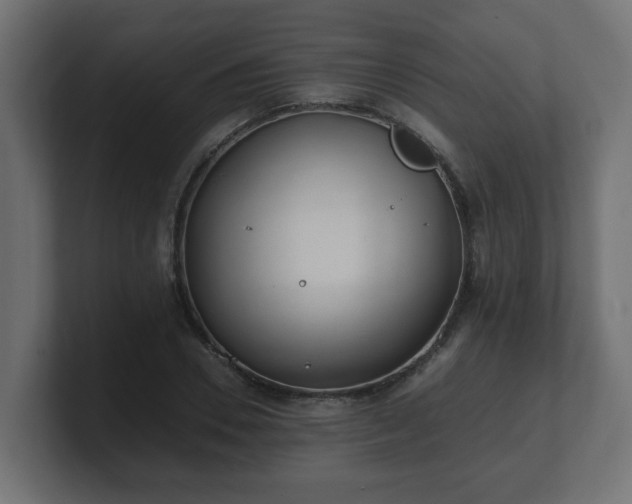 X0000100760930200806261601