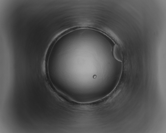 X0000100760932200806261601