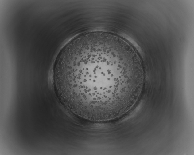 X0000100760933200806261601