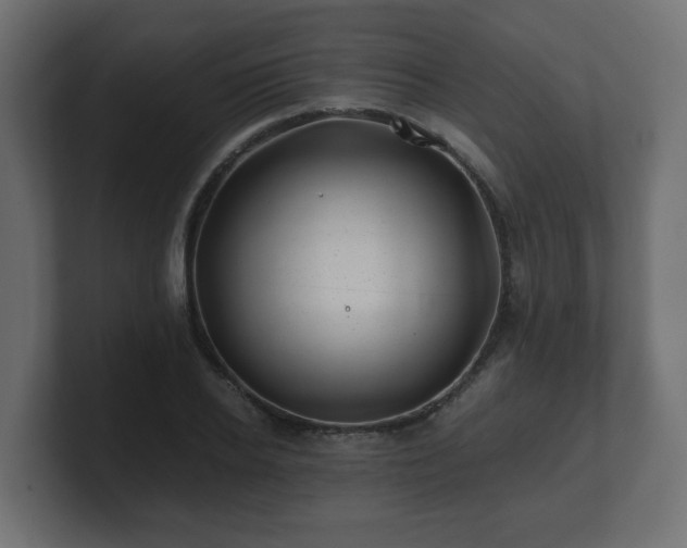 X0000100760934200806261601