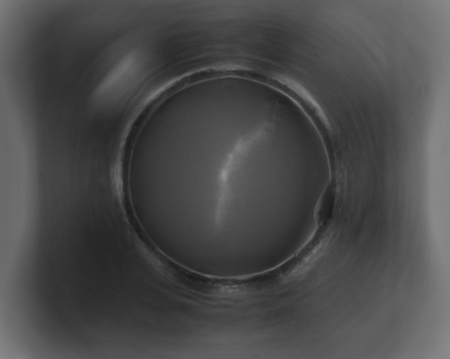 X0000100760935200806261601