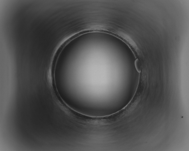 X0000100760936200806261601