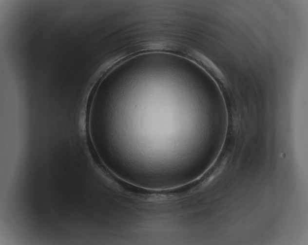 X0000100760938200806261602