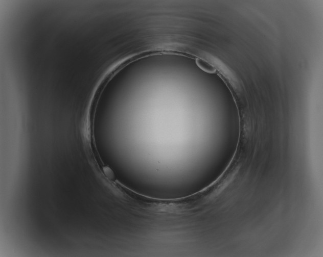 X0000100760940200806261602