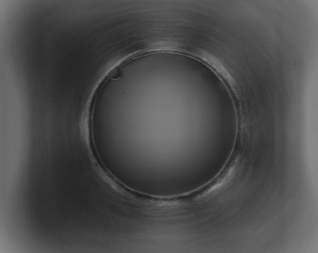 X0000100760941200806261602