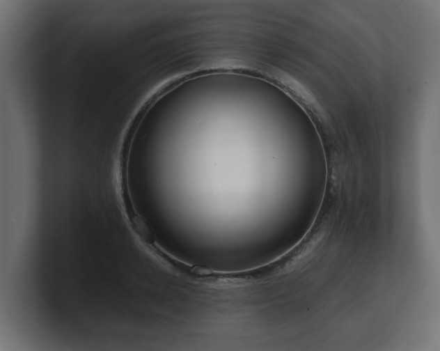 X0000100760942200806261602