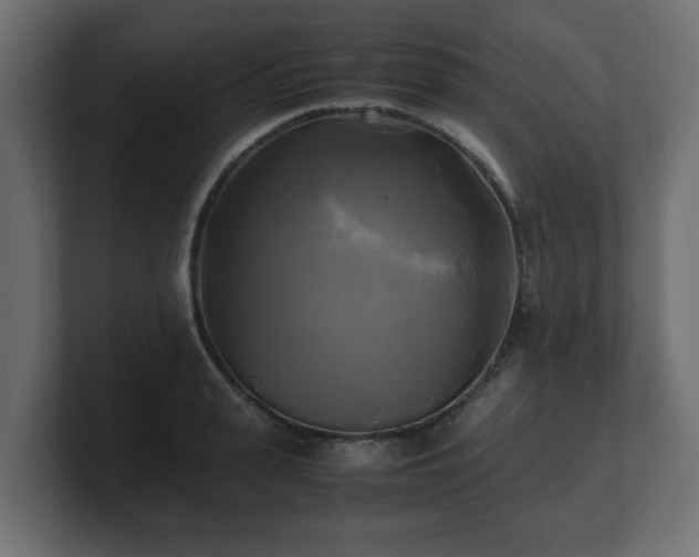 X0000100760943200806261602