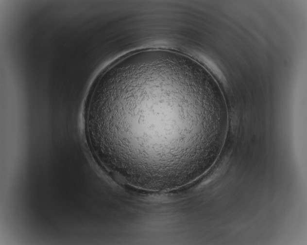 X0000100760944200806261602