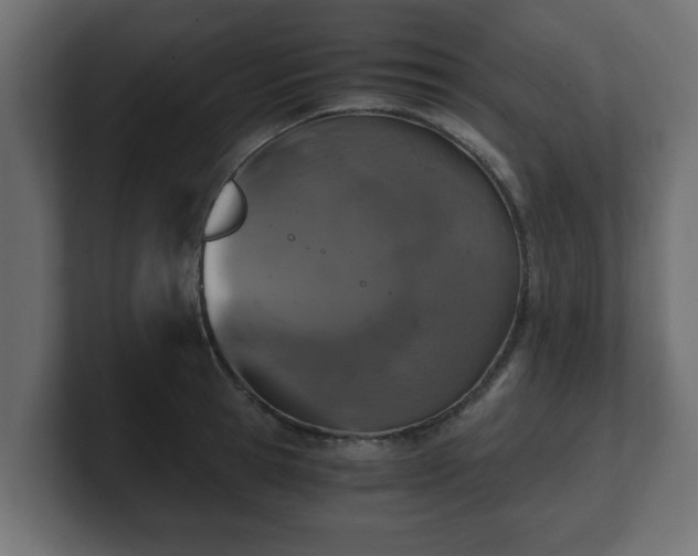 X0000100760945200806261602