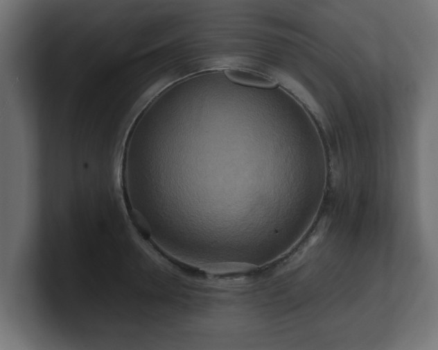 X0000100760946200806261602