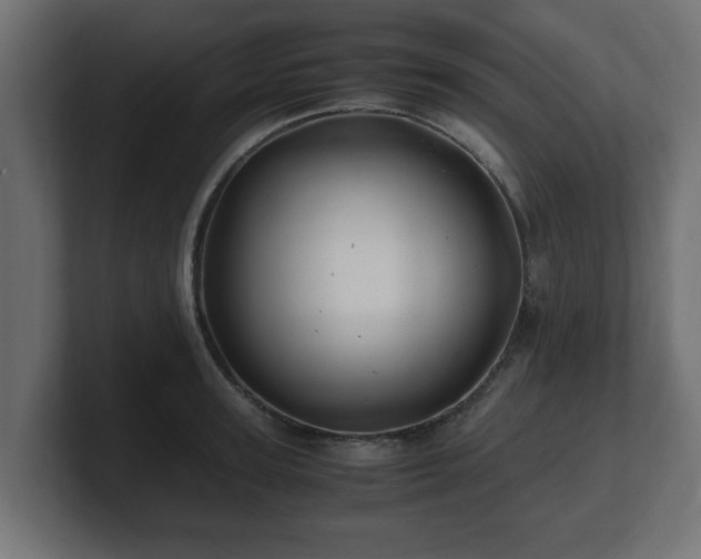 X0000100760947200806261602