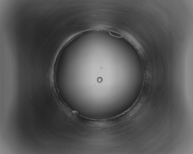 X0000100760948200806261602