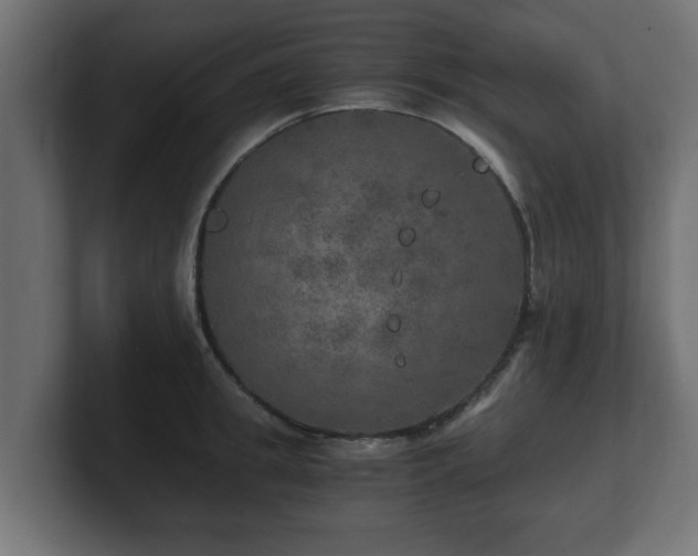 X0000100760949200806261602