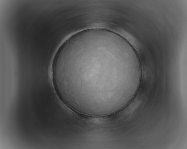 X0000100760950200806261602