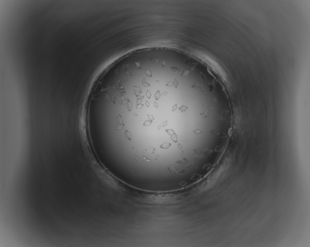 X0000100760952200806261602