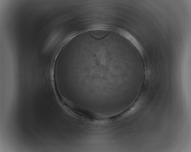 X0000100760954200806261602