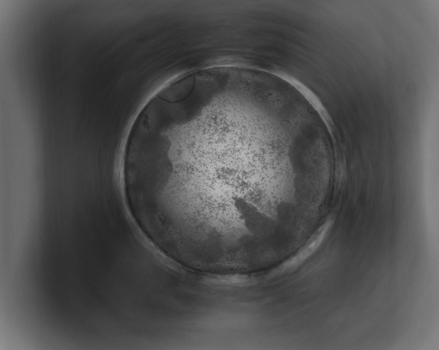 X0000100760957200806261602