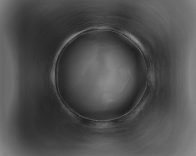 X0000100760959200806261602