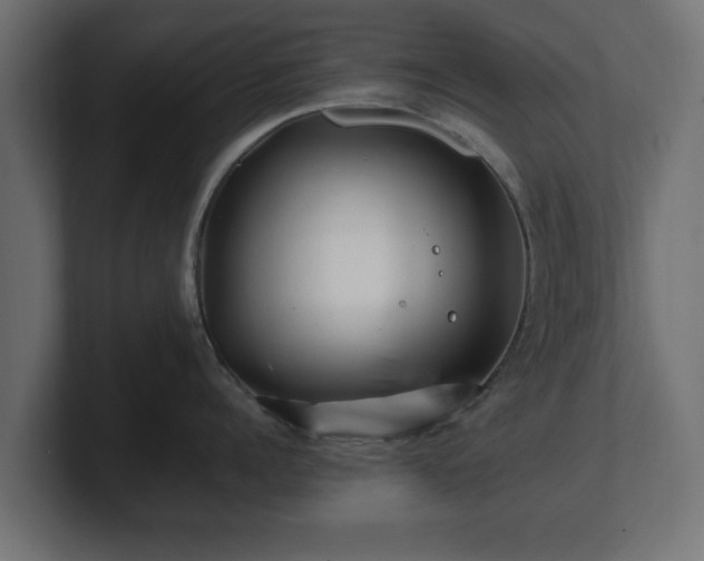 X0000100760960200806261602