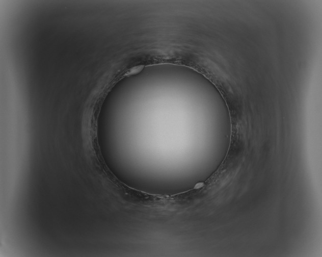 X0000100760961200806261601