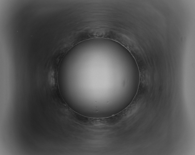 X0000100760962200806261601