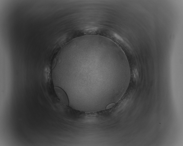 X0000100760964200806261601