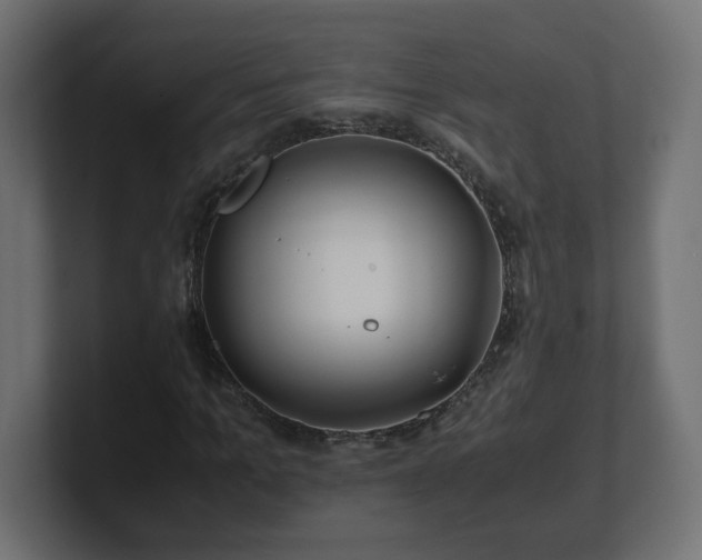 X0000100760965200806261601