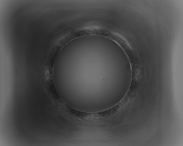 X0000100760966200806261601