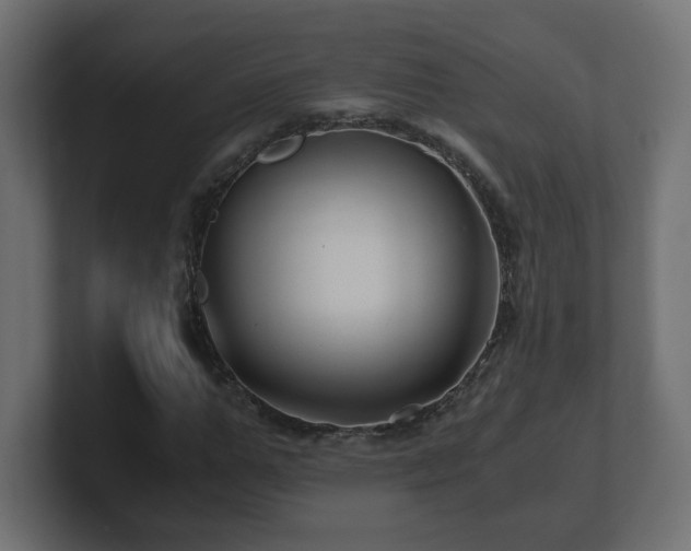 X0000100760967200806261601