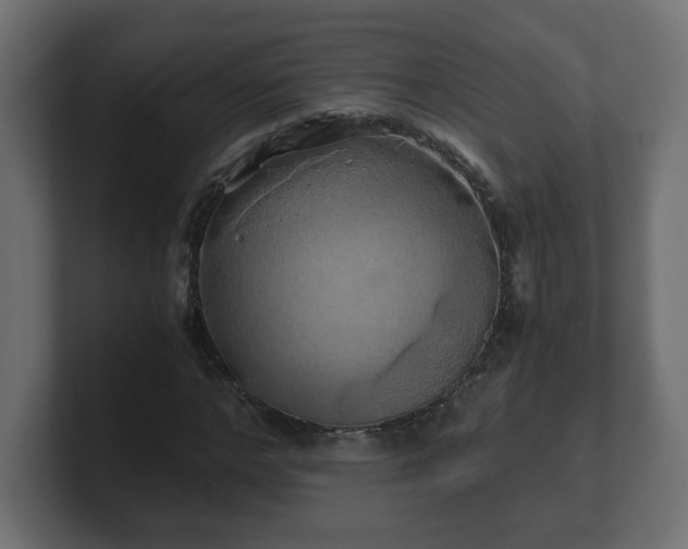 X0000100760968200806261601