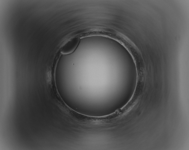 X0000100760969200806261601