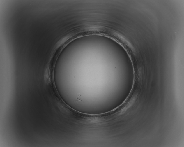 X0000100760970200806261601