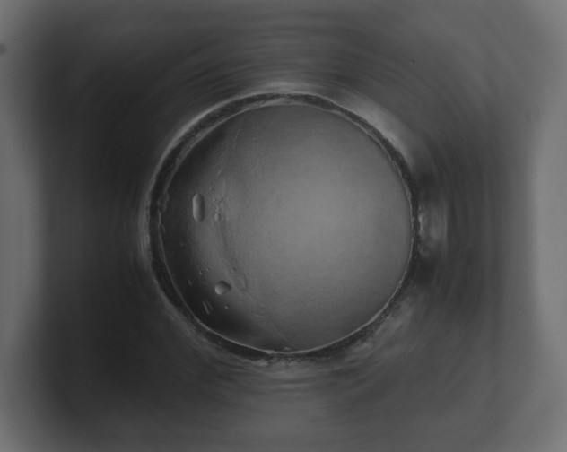 X0000100760972200806261601