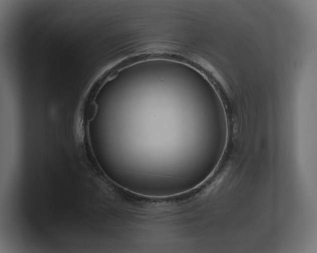 X0000100760973200806261601