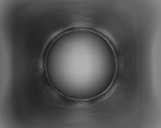 X0000100760974200806261601