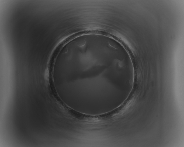 X0000100760975200806261601