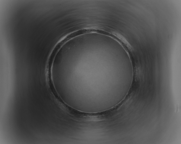 X0000100760976200806261601