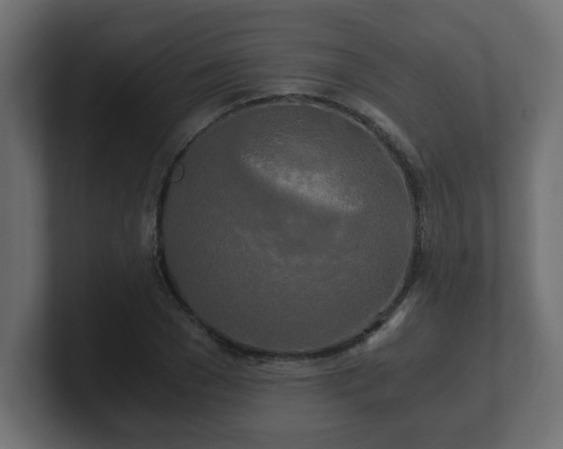 X0000100760977200806261601