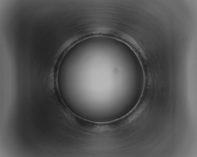 X0000100760978200806261601