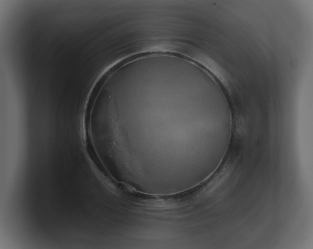 X0000100760980200806261601