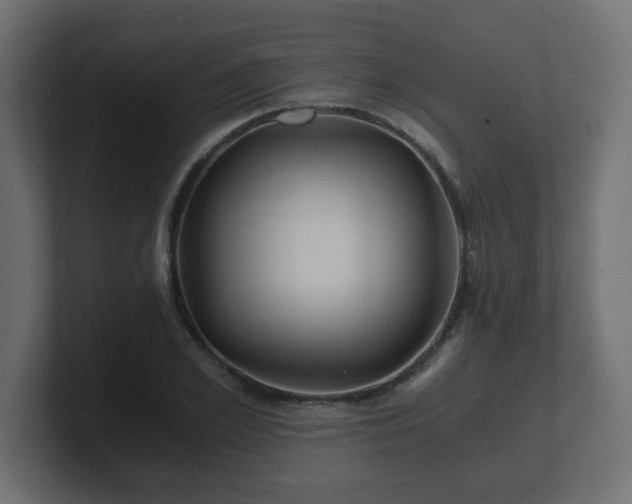 X0000100760981200806261601