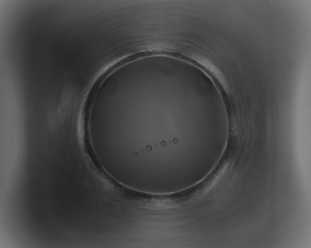 X0000100760983200806261601