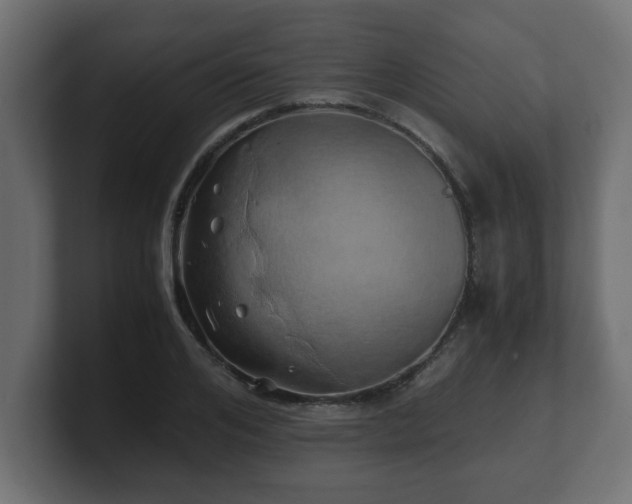 X0000100760984200806261601