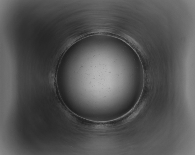 X0000100760985200806261601