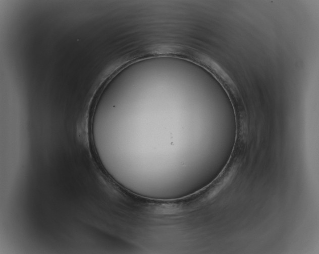 X0000100760986200806261601