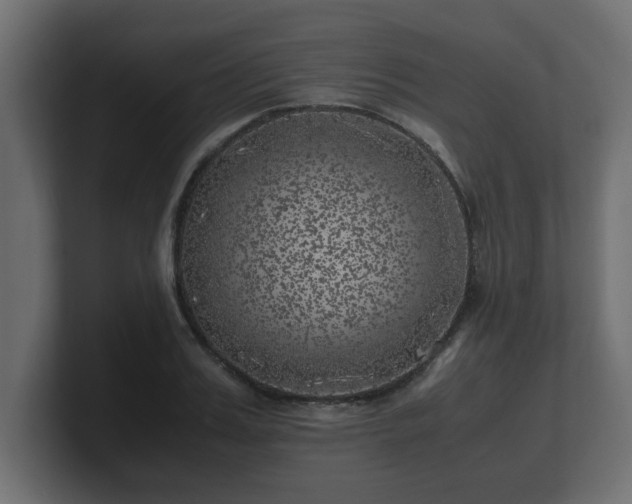 X0000100760987200806261601