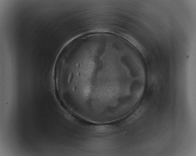 X0000100760988200806261601