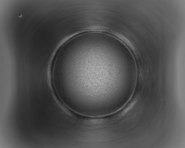 X0000100760989200806261601