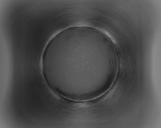 X0000100760990200806261601